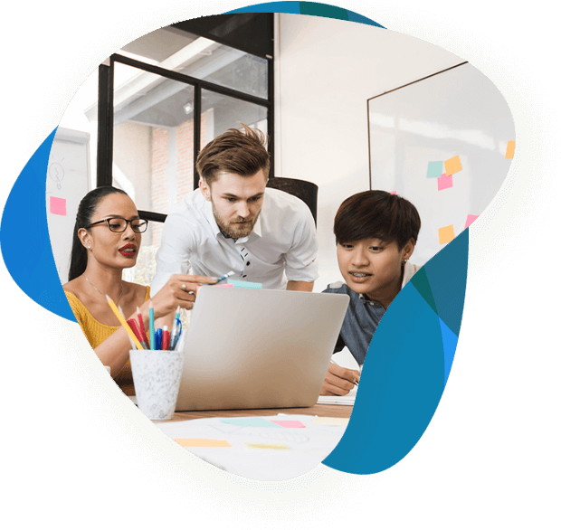 Professional Translation